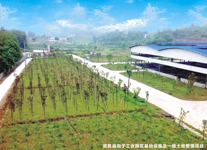 武胜县街子工业园区基础设施及一级土地整理项目